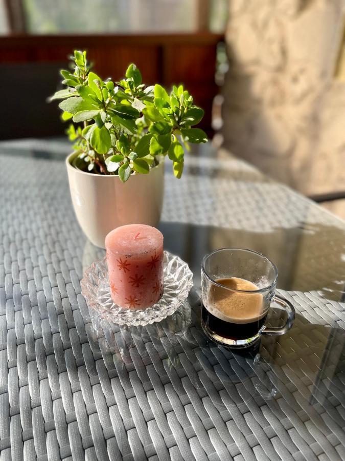 Boni Apartman Miskolc Exteriör bild